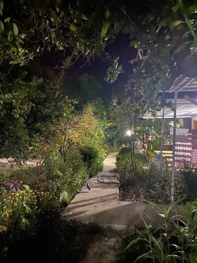 tatilcim.com Adrasan Altıntaş Apart